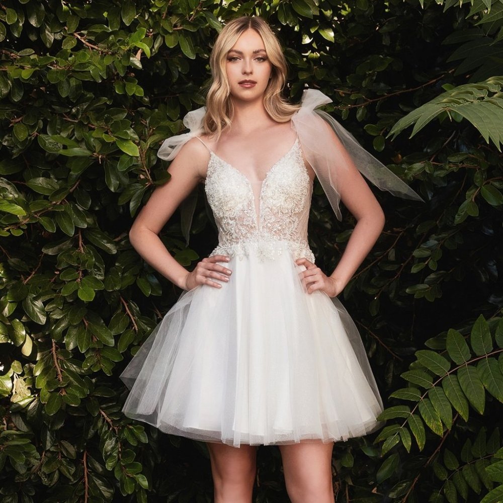 Cinderella White Tulle Prom Dress with Sheer Lace Bodice